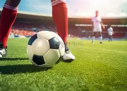 费内巴切欧,篮连胜分析,本期专家推,彩娱乐,在线娱乐平台,体育互动平台,便捷娱乐服务,娱乐网站推荐