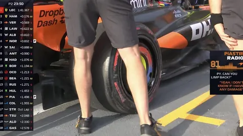 埃及副议长：中国是埃及重要工业合作伙伴